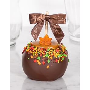 Fall Leaves Caramel Apple w/ Dark Belgian Chocolate