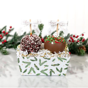 Two Apple Holly Holiday Gift Tray