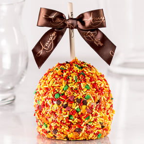 Fall Sprinkle Caramel Apple