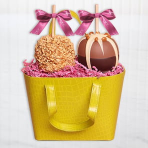 Springtime Green Purse