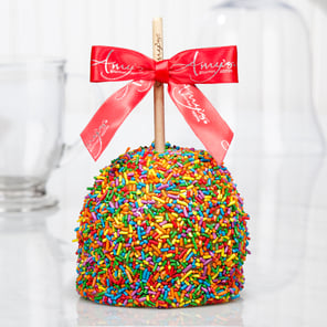 Rainbow Sprinkle Caramel Apple