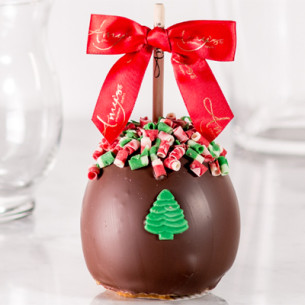 Chocolate Caramel Apples | Chocolate Covered Apples for Sale