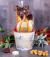 Pumpkin Patch Gourmet Caramel Apple Gift Basket