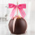 Dunked Caramel Apple w/ Dark Belgian Chocolate & Candy Flower