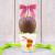 Spring Chick Caramel Apple Gift Pack