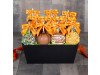 Petite 10 Apple Spooky Treats Gift Basket