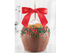 Holiday Red & Green Snowflake Dunked Caramel Apple w/ Milk Chocolate