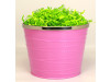 Optional Light Pink Gift Basket