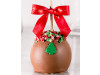 Christmas Curls Caramel Apple w/ Milk Belgian Chocolate