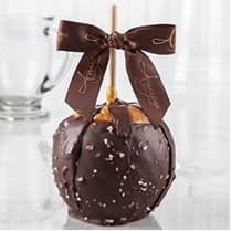 Dunked w/ Dark Belgian Chocolate & Sea Salt