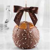 Dunked w/ Milk Belgian Chocolate & Sea Salt
