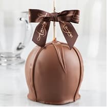 Dunked w/ Milk Belgian Chocolate & Sea Salt