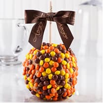 Reeses Pieces