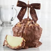 Snickers w/ Milk Belgian Chocolate